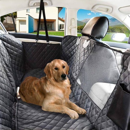 Housse voiture chien | ImperGriff - Mon Empire Canin