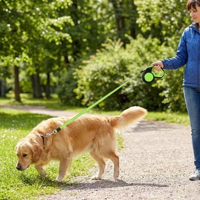 Laisse Enrouleur pour Chien | SecurWalk - Système de Blocage Sécurisé - Mon Empire Canin