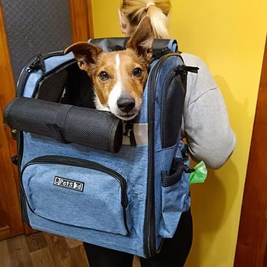 Sac de transport pour chien | Ergonomique - Mon Empire Canin