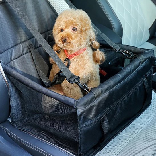 Siege auto pour chien | SécuriTravel - Mon Empire Canin