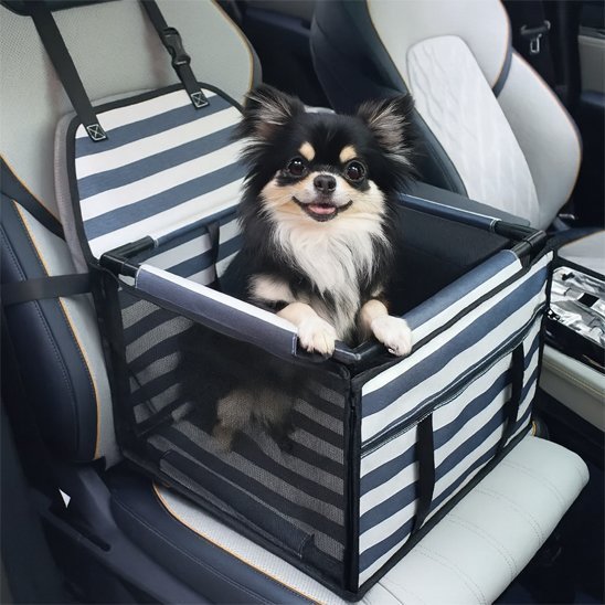 Siege auto pour chien | TravelPaws - Mon Empire Canin