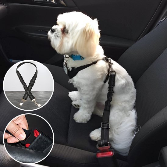 Ceinture chien voiture | Sécuridog - Mon Empire Canin