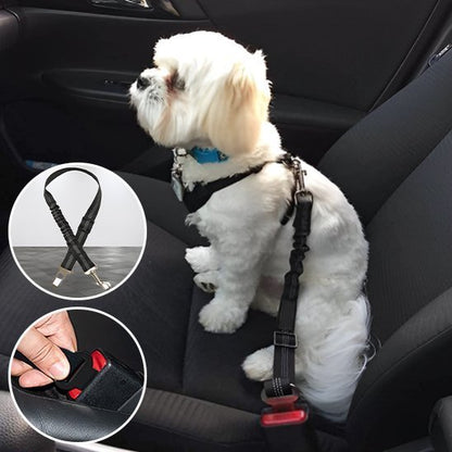 Ceinture chien voiture | Sécuridog - Mon Empire Canin