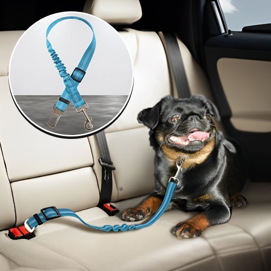 Ceinture chien voiture | Sécuridog - Mon Empire Canin