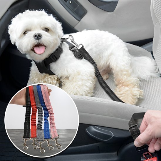 Ceinture chien voiture | Sécuridog - Mon Empire Canin