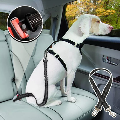 Ceinture chien voiture | Sécuridog - Mon Empire Canin