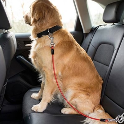 Ceinture de Sécurité pour Chien en Voiture | SécuriTravel - Harnais Ajustable - Mon Empire Canin