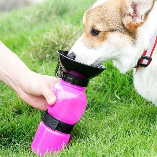 Gourde pour chien | Portable Antigaspi - Mon Empire Canin