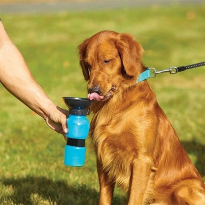 Gourde pour chien | Portable Antigaspi - Mon Empire Canin