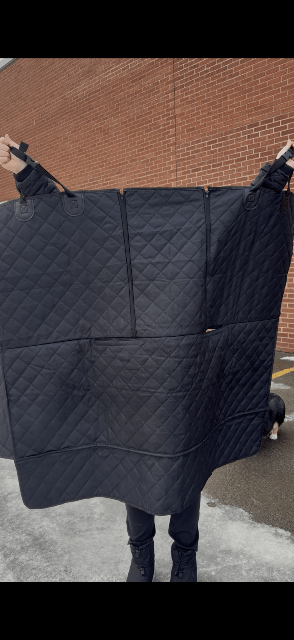 Housse siège voiture chien imperméable — fini les poils & la boue - Mon Empire Canin