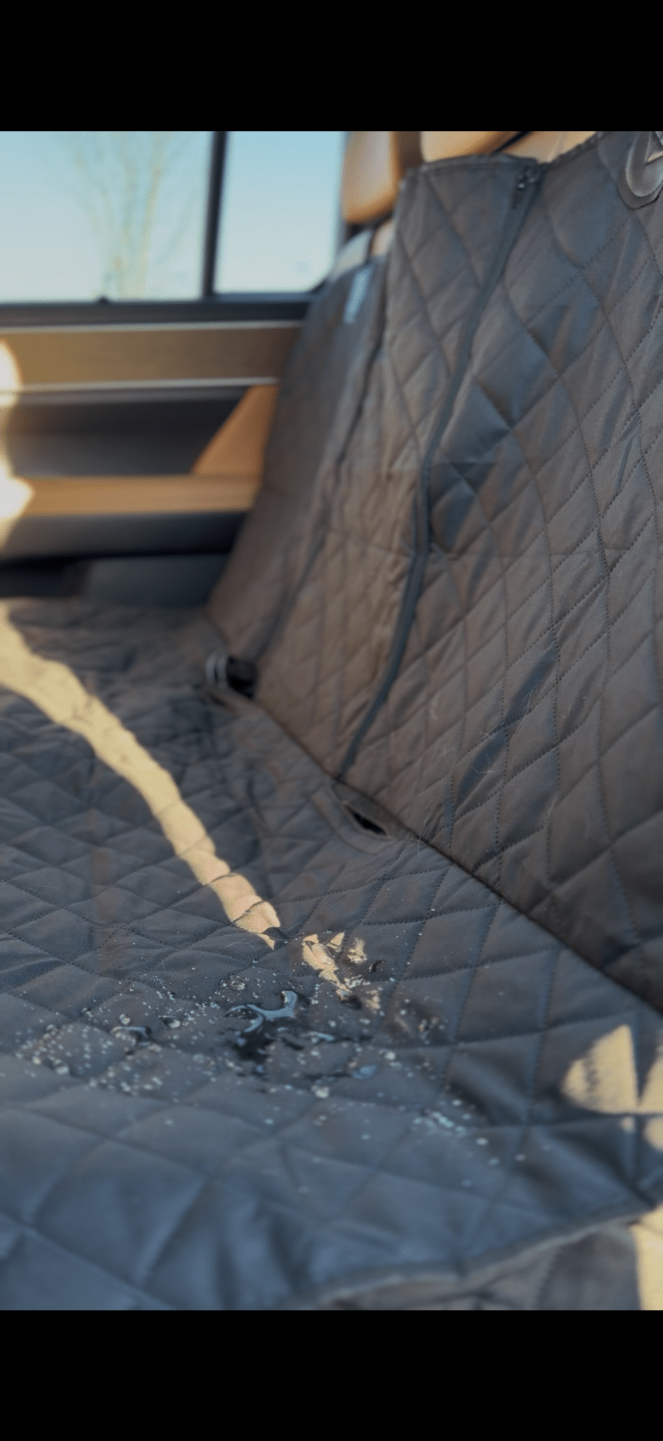 Housse siège voiture chien imperméable — fini les poils & la boue - Mon Empire Canin