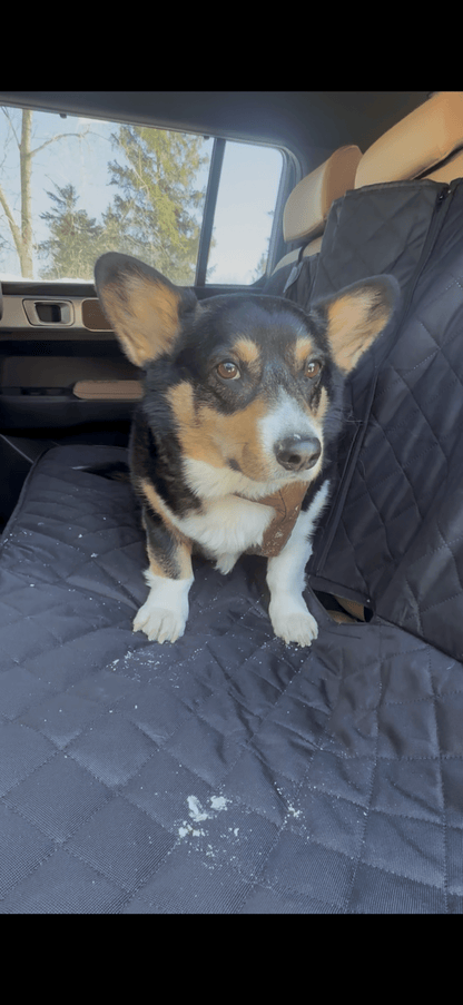 Housse siège voiture chien imperméable — fini les poils & la boue - Mon Empire Canin