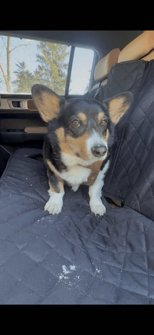 Housse siège voiture chien imperméable — fini les poils & la boue - Mon Empire Canin