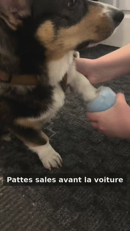 Démonstration du nettoyeur de pattes avec Oscar, le corgi