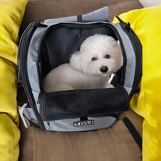 Sac de transport pour chien | Ergonomique - Mon Empire Canin